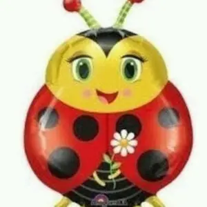 Globo mariquita