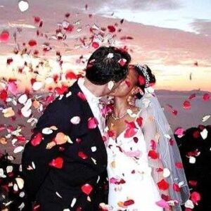 Lanzapapeles mortero papel Blanco y Rojo