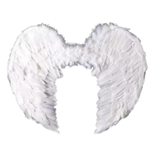 Alas de angel con plumas