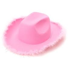 Sombrero cowboy rosa liso con plumas